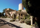 Country house with land for sale on España, Felanitx, ref: TR135614 photo