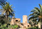 Country house with land for sale on España, Felanitx, ref: TR135614 photo