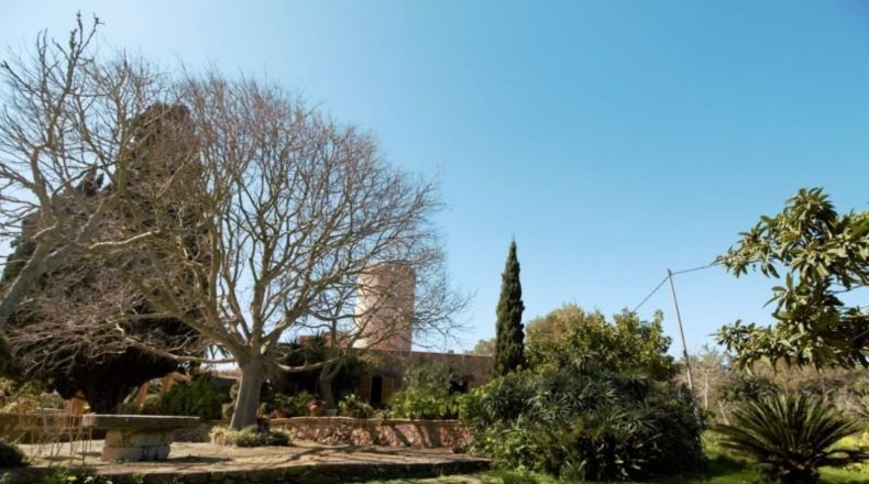 Islas Baleares - Felanitx - 25000m2