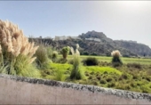 Casa de pueblo en venta en la España, Salobreña, ref: TR296441 foto
