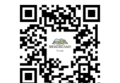 Chalet independiente con terreno en venta en la España, Sitges, ref: TR240341 foto