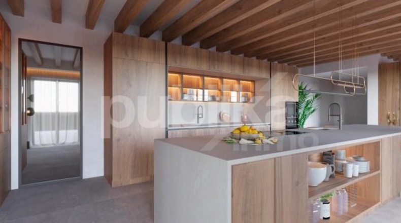Balearic Islands - Palma - 1500m2