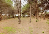 Parcela urbanizable en venta en la España, Mataró, ref: TR114939 foto