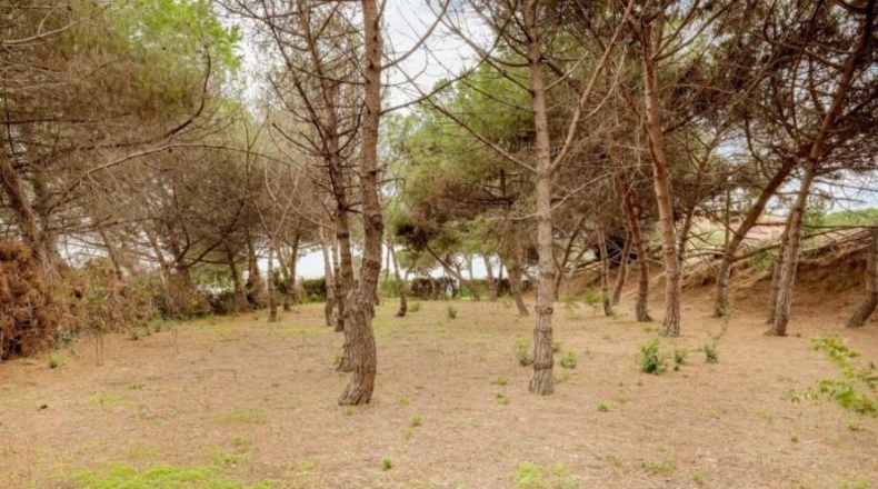 Barcelona - Mataró - 13462m2