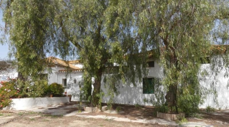 Málaga - Almayate Alto - 26113m2