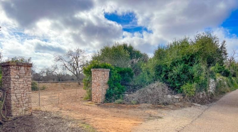 Islas Baleares - Felanitx - 15000m2