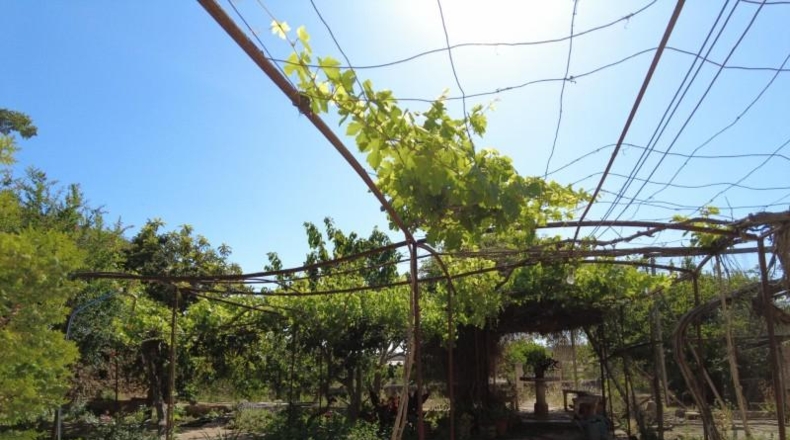 Illes Balears - Santa Eugènia - 142500m2