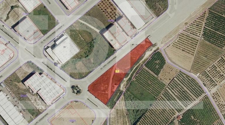 Valencia - Picasent - 8434m2