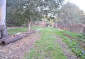 Detached villa with land for sale on España, Sa Pobla, ref: TR135301 photo