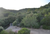 Detached villa with land for sale on España, Sa Pobla, ref: TR135301 photo