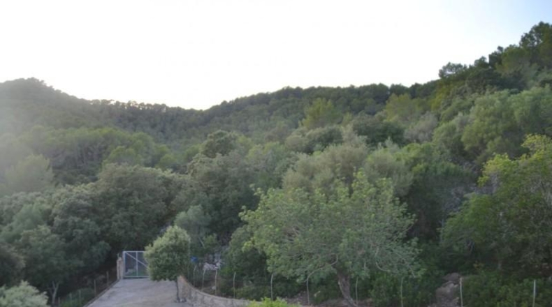 Islas Baleares - sa Pobla - 296416m2