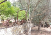 Detached villa with land for sale on España, Sa Pobla, ref: TR135301 photo