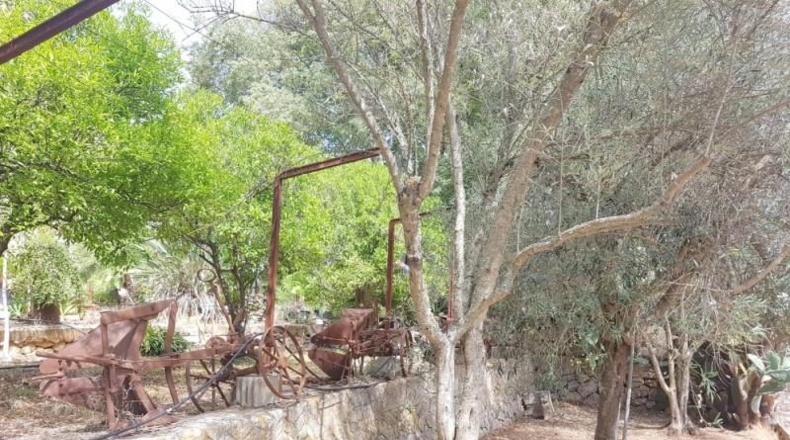 Islas Baleares - sa Pobla - 296416m2