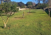 Chalet independiente con terreno en venta en la España, Palma, ref: TR154137 foto