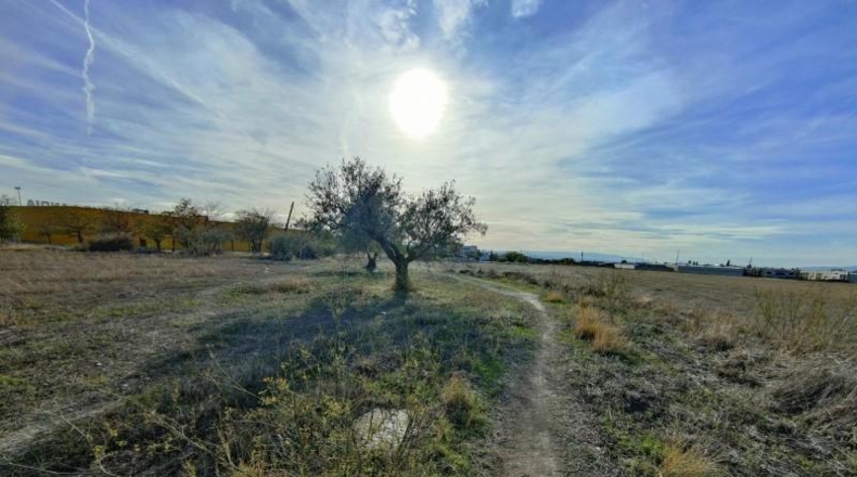 Granada - Pulianas - 13300m2