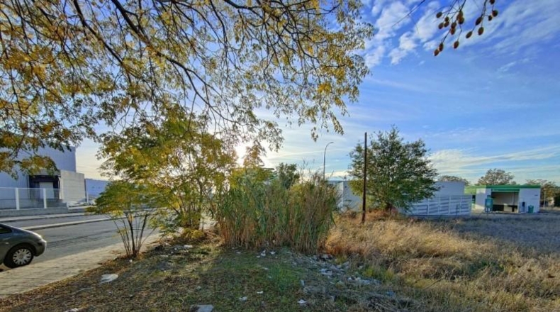 Granada - Pulianas - 13300m2