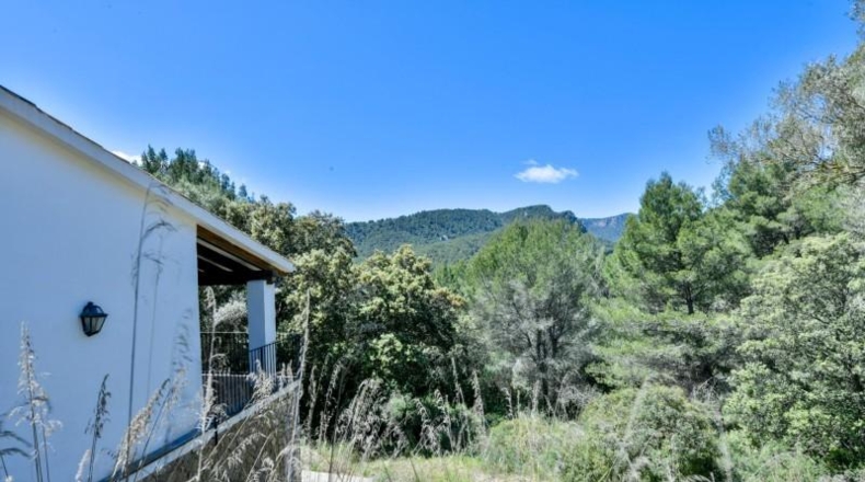 Illes Balears - Palma - 431m2