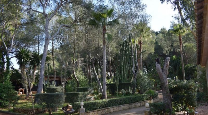 Islas Baleares - Palma - 7500m2