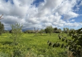Suelo urbano en venta en la España, Palma, ref: TR384704 foto