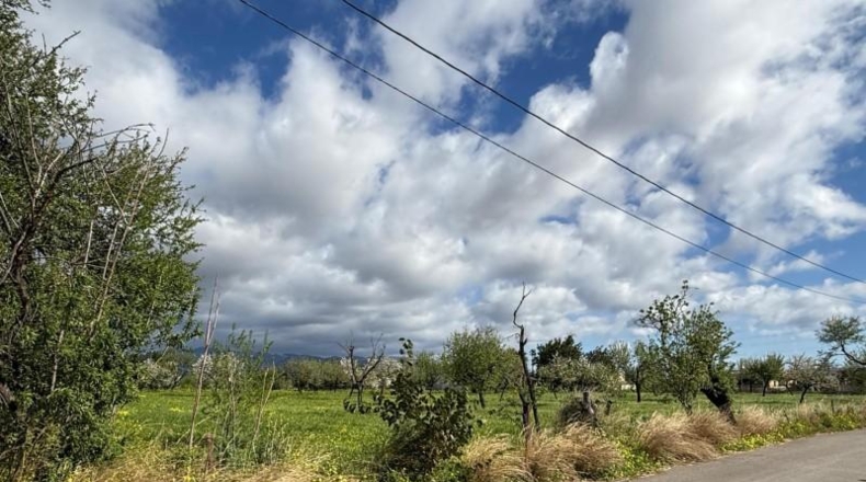 Balearic Islands - Palma - 14878m2