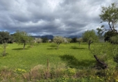 Suelo urbano en venta en la España, Palma, ref: TR384704 foto