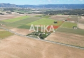 Country house with land for sale on España, Fontanars dels Alforins, ref: TR282351 photo