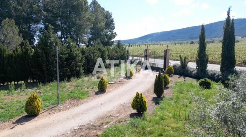 Valencia - Fontanares - 30000m2