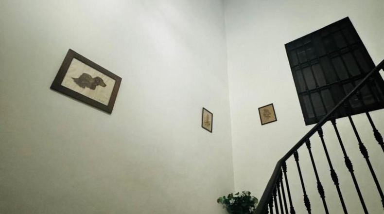 Barcelona - Vilafranca del Penedès - 3700m2