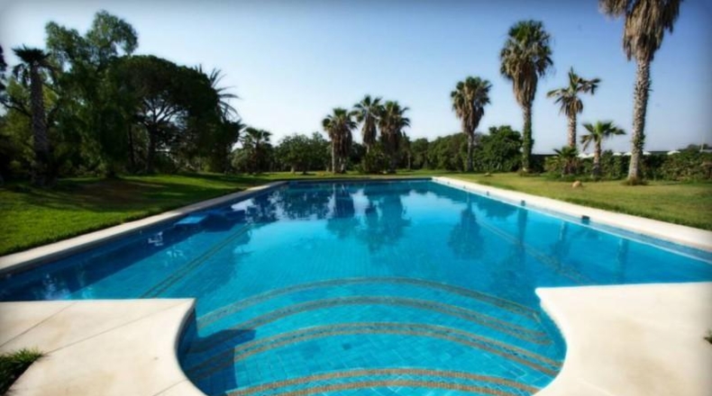 Alicante - Muchamiel - 20000m2