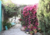 Chalet independiente con terreno en venta en la España, Mutxamel, ref: TR140975 foto