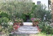 Chalet independiente con terreno en venta en la España, Mutxamel, ref: TR140975 foto