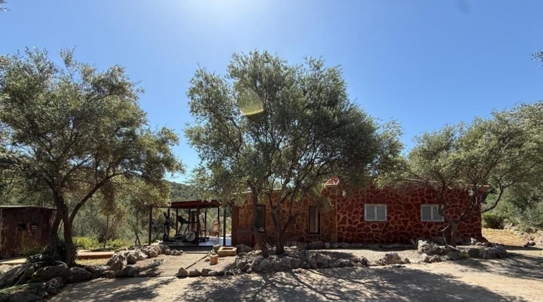 Illes Balears - Buñola - 191264m2