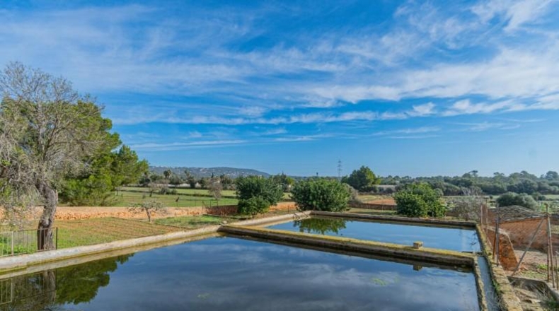 Islas Baleares - Palma - 1485m2