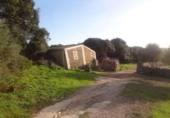 Country house with land for sale on España, Alaior, ref: TR143017 photo