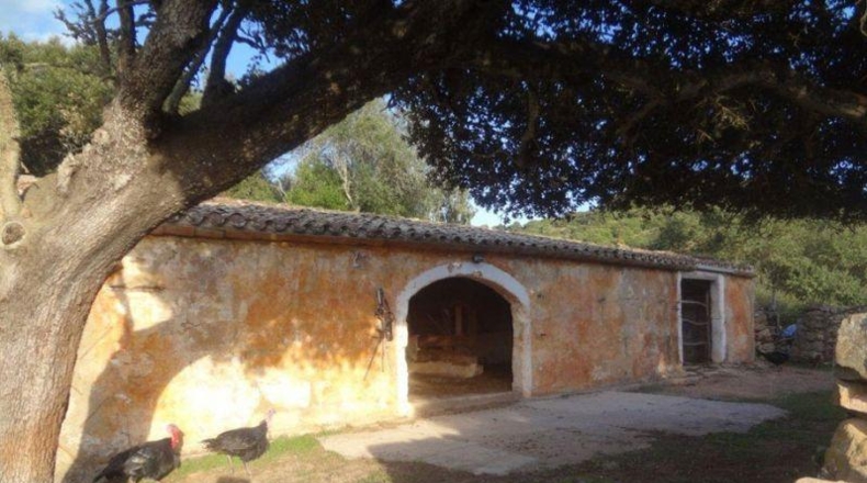 Islas Baleares - Alaior - 160000m2