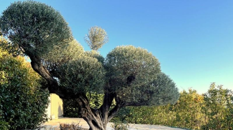 Gerona - Tossa de Mar - 1842m2