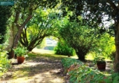 Finca rústica en venda a la España, O Barral, ref.: TR366146 foto