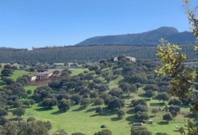 Garbayuela 3500000&nbsp;m² 