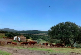 Garbayuela 3500000&nbsp;m² 