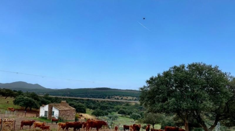 Badajoz - Garbayuela - 3500000m2