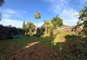 Chalet independiente con terreno en venta en la España, Marbella, ref: TR179498 foto