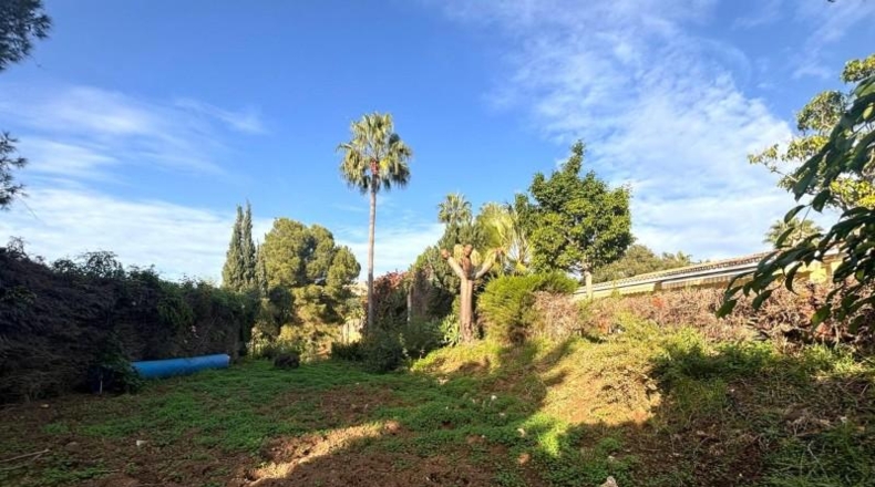 Malaga - Marbella - 5200m2