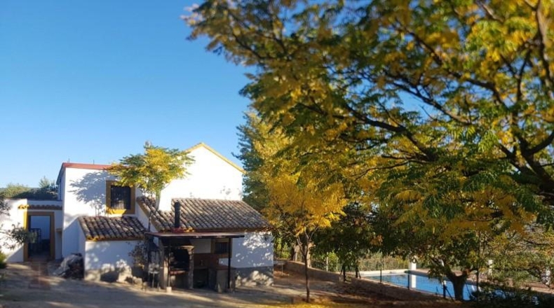 Malaga - Ronda - 120000m2