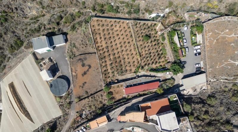 Santa Creu de Tenerife - Santiago del Teide - 48000m2