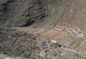 Casa de campo con terreno en venta en la España, Santiago del Teide, ref: TR178326 foto