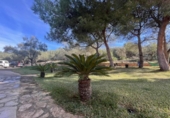 Chalet independiente con terreno en venta en la España, Manacor, ref: TR158182 foto