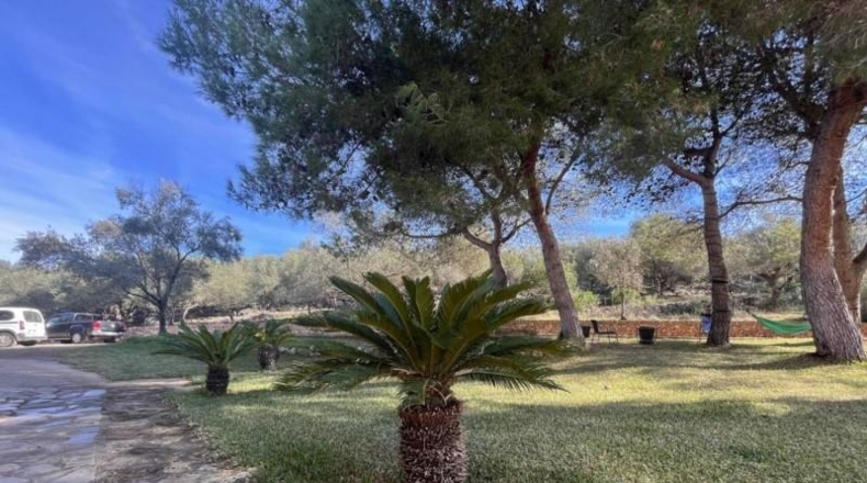 Islas Baleares - Manacor - 185000m2