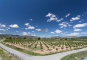 Casa de campo con terreno en venta en la España, Ibi, ref: TR287370 foto