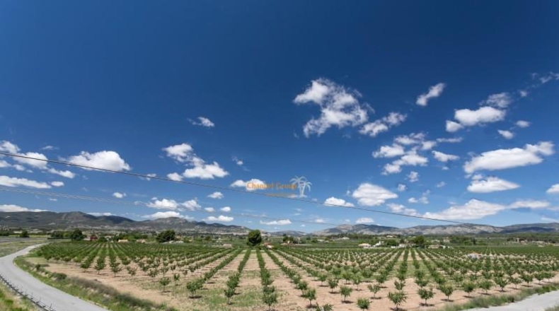Alicante - Ibi - 400000m2