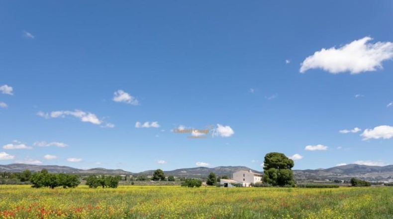 Alicante - Ibi - 400000m2